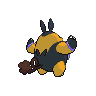 shiny (dorso)