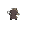 shiny (dorso)