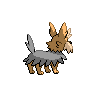 shiny (dorso)