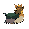 shiny (dorso)
