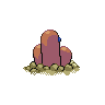 shiny (dorso)