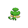 shiny (dorso)