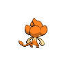 shiny (dorso)