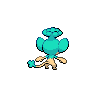 shiny (dorso)