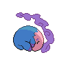 shiny (dorso)