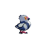 shiny (dorso)