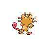 shiny (dorso)