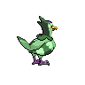 shiny (dorso)