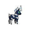 shiny (dorso)