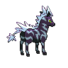 shiny (dorso)