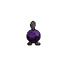 shiny (dorso)