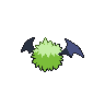 shiny (dorso)