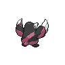 shiny (dorso)