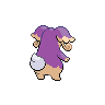 shiny (dorso)