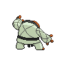 shiny (dorso)