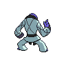 shiny (dorso)