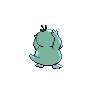 shiny (dorso)