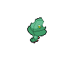 shiny (dorso)