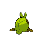 shiny (dorso)