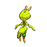 shiny (dorso)