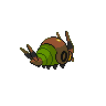 shiny (dorso)