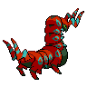 shiny (dorso)