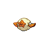 shiny (dorso)