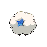 shiny (dorso)