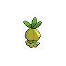 shiny (dorso)