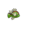 shiny (dorso)
