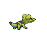 shiny (dorso)