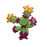 shiny (dorso)