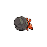 shiny (dorso)