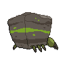 shiny (dorso)