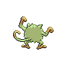 shiny (dorso)