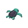 shiny (dorso)