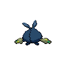 shiny (dorso)