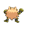 shiny (dorso)