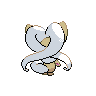 shiny (dorso)