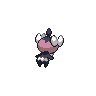 shiny (dorso)