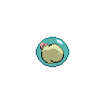shiny (dorso)