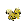shiny (dorso)