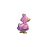 shiny (dorso)