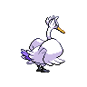 shiny (dorso)