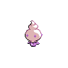 shiny (dorso)