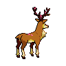 shiny (dorso)