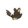 shiny (dorso)