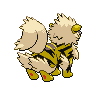 shiny (dorso)