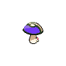 shiny (dorso)