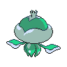 shiny (dorso)